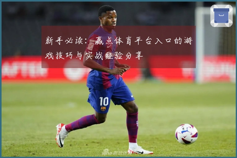 新手必读：赢点体育平台入口的游戏技巧与实战经验分享